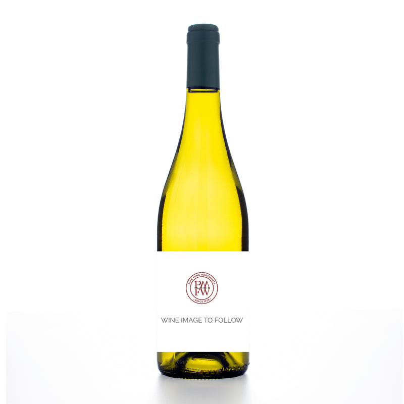 2023, Bibi Graetz, Colore Bianco, TOSCANA